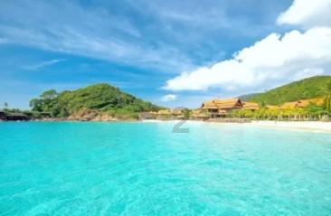 奥莉的夏威夷之旅