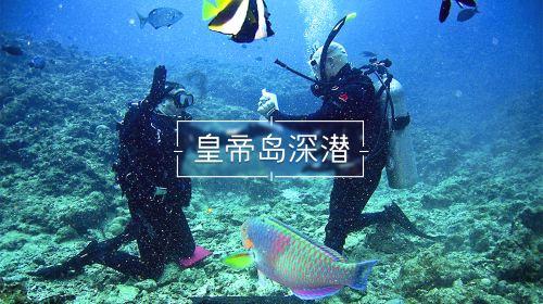 “村网共建”谱写乡村振兴协奏曲