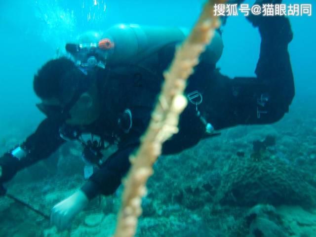 大航海之路