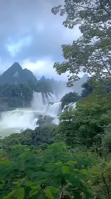 升空的愤怒奶奶