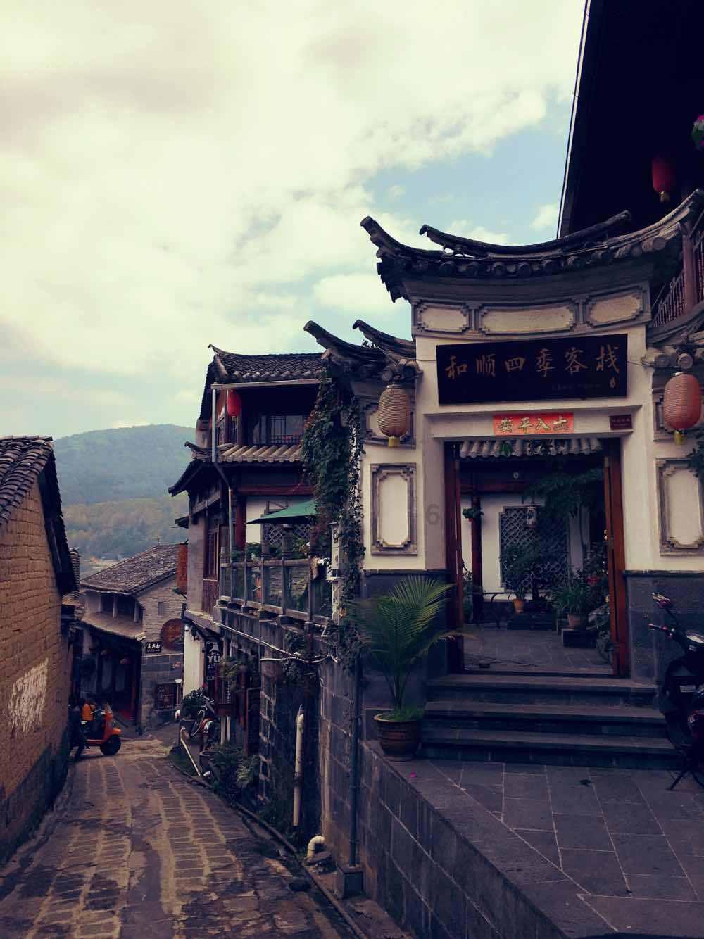 破碎的动物图形3